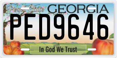 GA license plate PED9646
