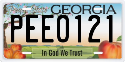 GA license plate PEE0121