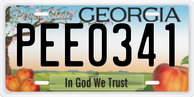 GA license plate PEE0341