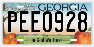 GA license plate PEE0928