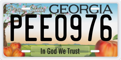 GA license plate PEE0976