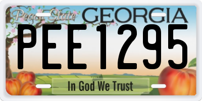 GA license plate PEE1295
