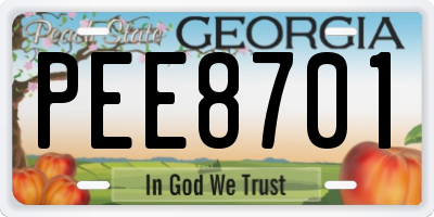 GA license plate PEE8701