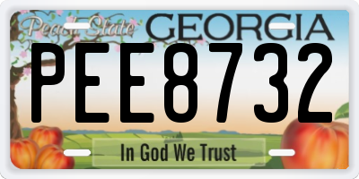 GA license plate PEE8732