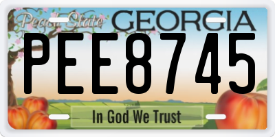 GA license plate PEE8745