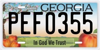 GA license plate PEF0355