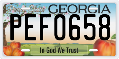 GA license plate PEF0658