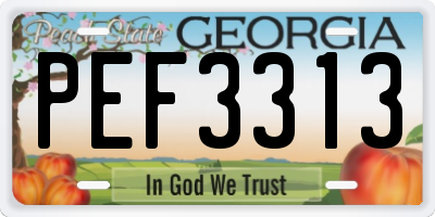 GA license plate PEF3313