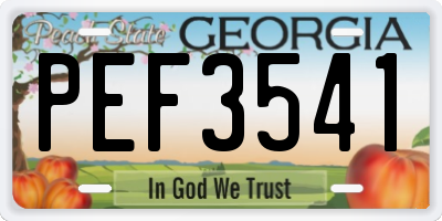 GA license plate PEF3541