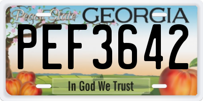 GA license plate PEF3642