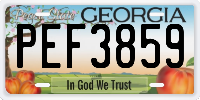 GA license plate PEF3859
