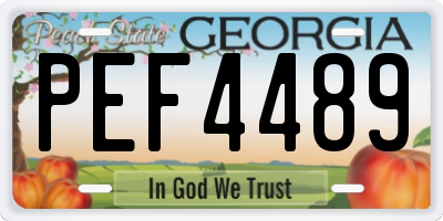 GA license plate PEF4489