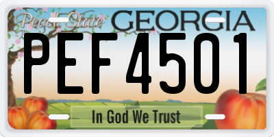 GA license plate PEF4501