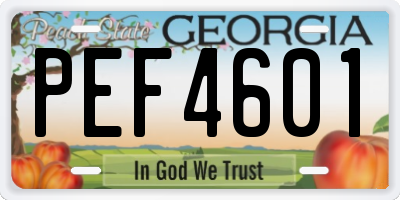 GA license plate PEF4601