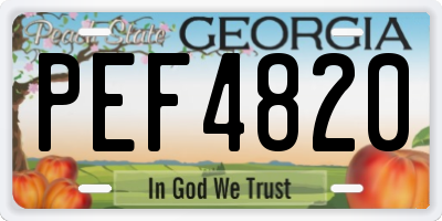 GA license plate PEF4820