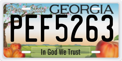 GA license plate PEF5263