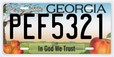 GA license plate PEF5321