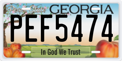 GA license plate PEF5474