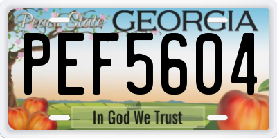 GA license plate PEF5604
