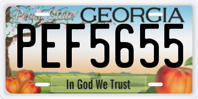 GA license plate PEF5655