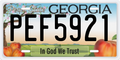GA license plate PEF5921