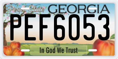 GA license plate PEF6053