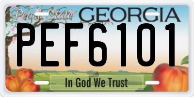 GA license plate PEF6101