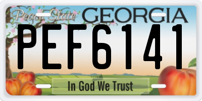 GA license plate PEF6141