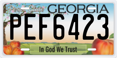 GA license plate PEF6423