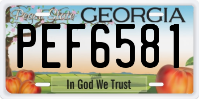 GA license plate PEF6581