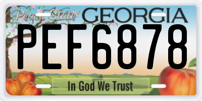 GA license plate PEF6878