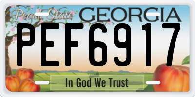 GA license plate PEF6917