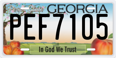 GA license plate PEF7105