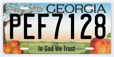 GA license plate PEF7128