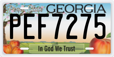 GA license plate PEF7275