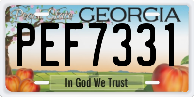 GA license plate PEF7331