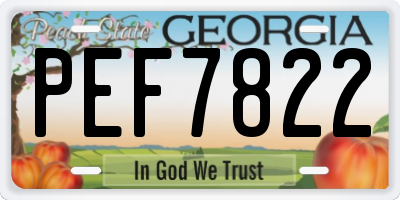 GA license plate PEF7822