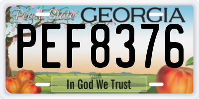 GA license plate PEF8376