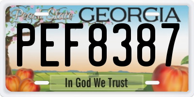 GA license plate PEF8387