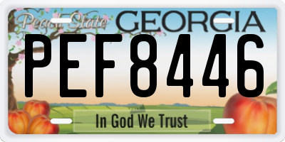GA license plate PEF8446