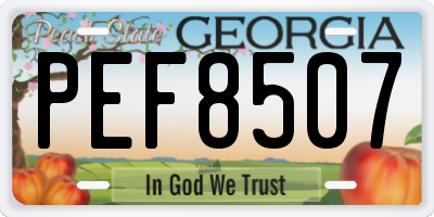 GA license plate PEF8507