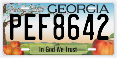 GA license plate PEF8642