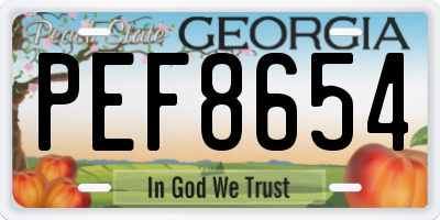 GA license plate PEF8654