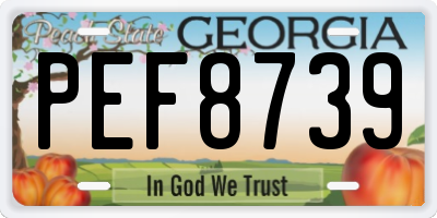 GA license plate PEF8739