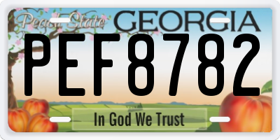 GA license plate PEF8782