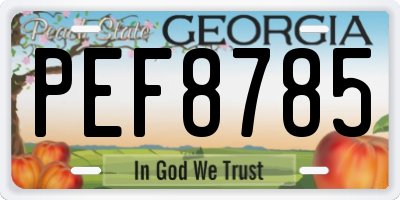 GA license plate PEF8785