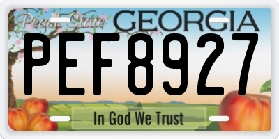 GA license plate PEF8927