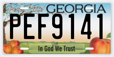 GA license plate PEF9141