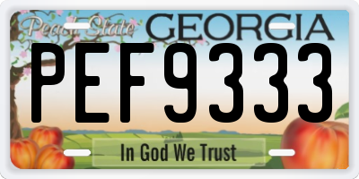 GA license plate PEF9333