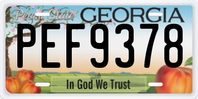 GA license plate PEF9378
